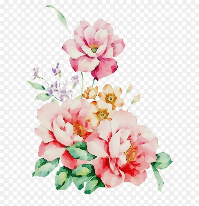 ˮ�� ���� ʪī-������