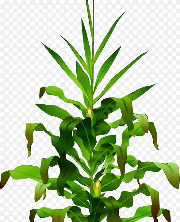 ˮ�� ���� ʪī-������