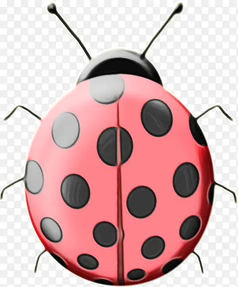 ˮ�� ���� ʪīˮ-������