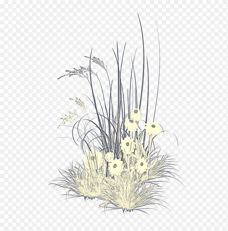 �� ˮ���װ�� ֲ��-������