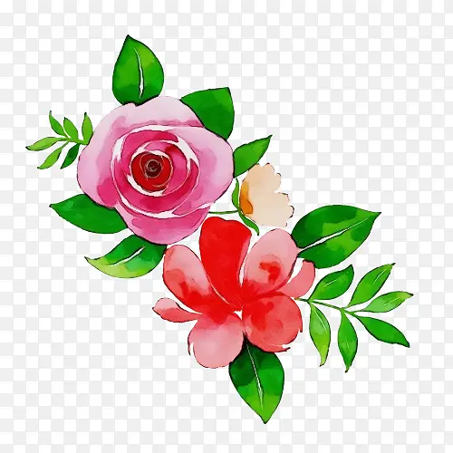 ˮ�� ���� ʪī-������