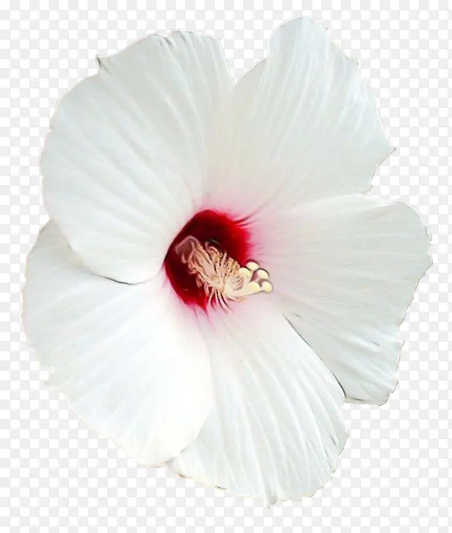 ˮ�� ���� ʪī-������