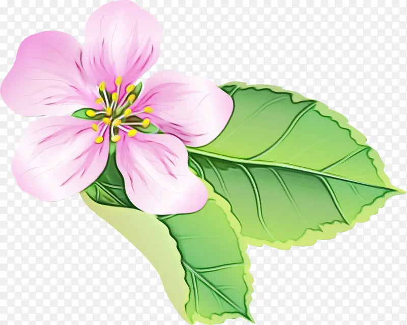 ˮ�� ���� ʪī-������