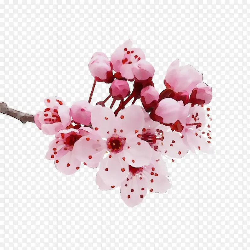 ˮ�� ���� ʪī-������