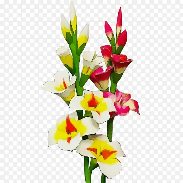 ˮ�� ���� ʪī-������