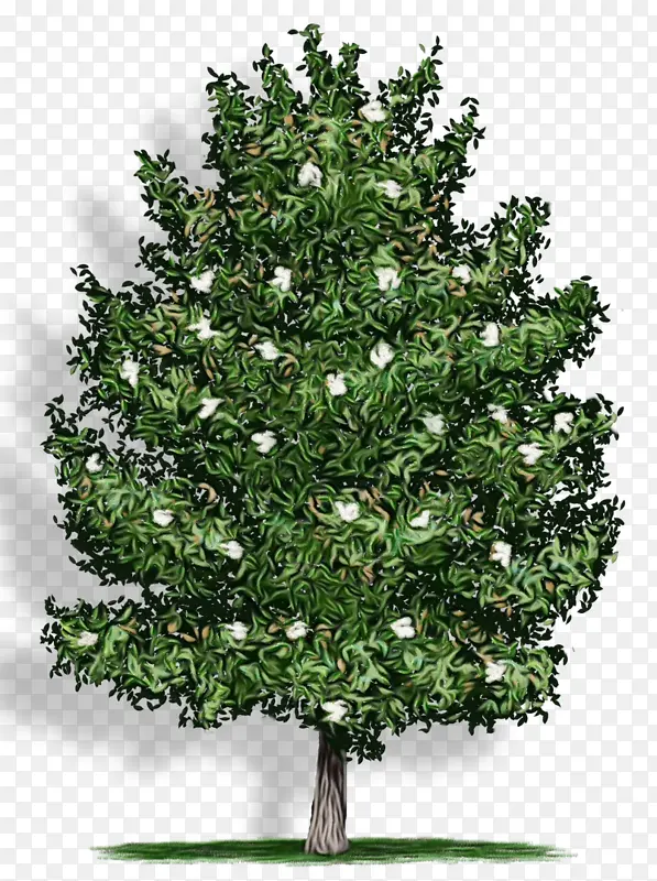 ˮ�ʻ� ���� ʪī-������