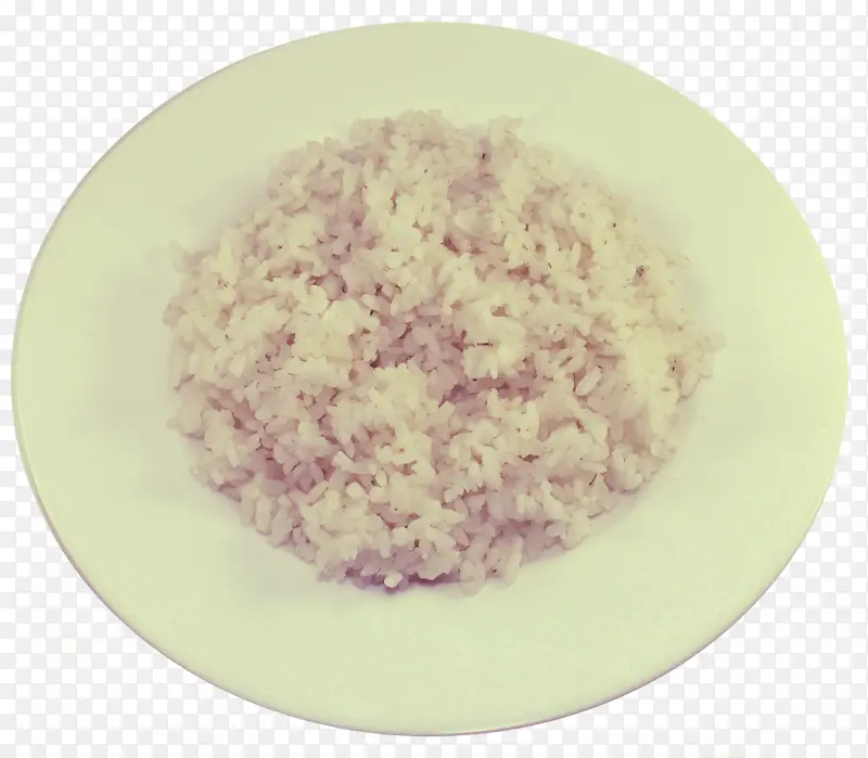 ���� ʳ�� ����-������