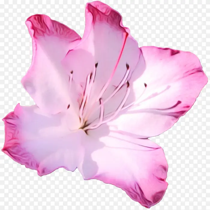 ˮ�� ���� ʪī-������