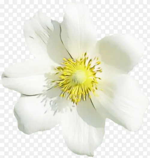 ˮ�ʻ� ���� ʪī-������