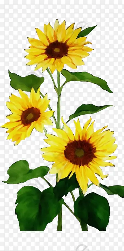 ˮ�ʻ� ���� ʪī-������