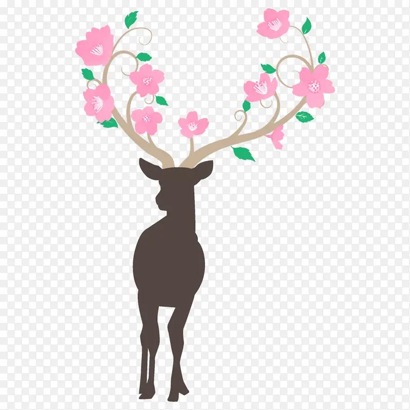 ��ɫ ¹ ѱ¹-������