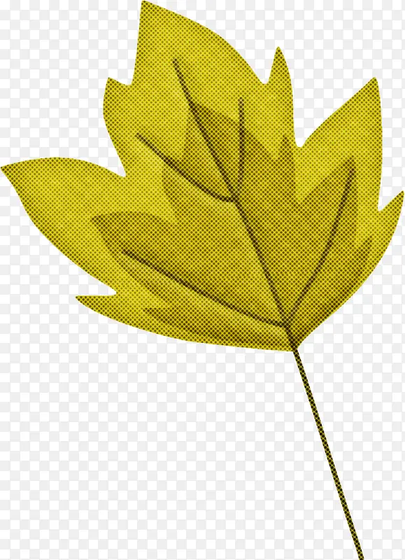 Ҷ�� �� ��ɫ-������