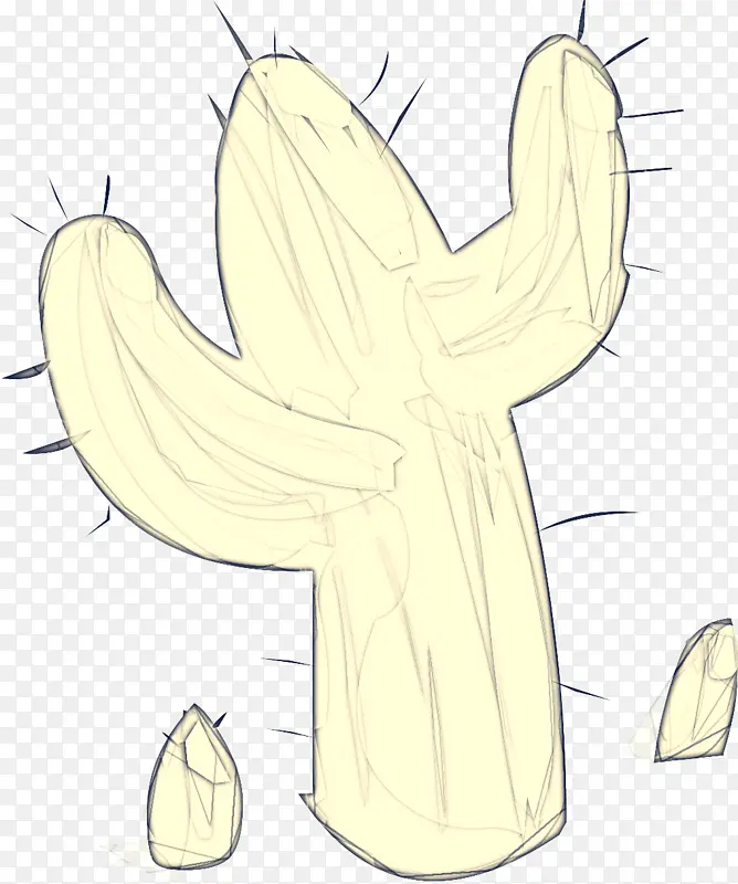 ���� ��� ֲ��-������