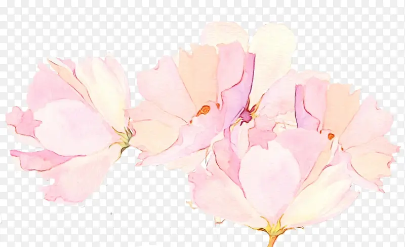 ˮ�� ���� ʪī-������