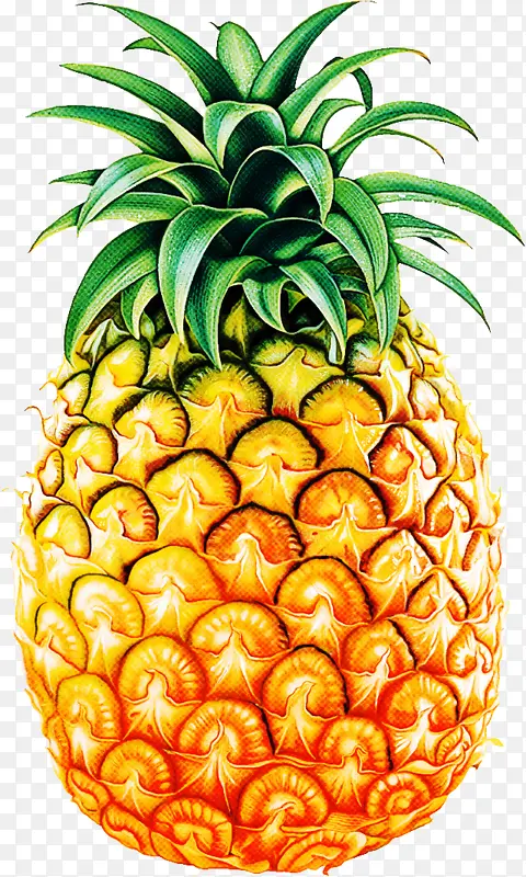 ��ȻʳƷ ���� �㽶-������