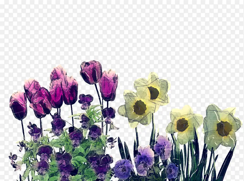 ���� ����ֲ�� ֲ��-������