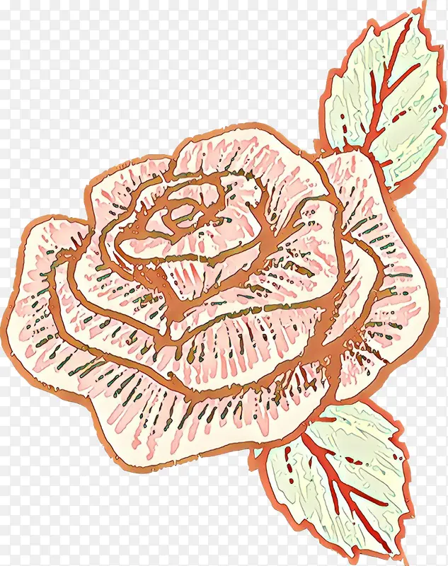 ��ͨ ֲ��-������