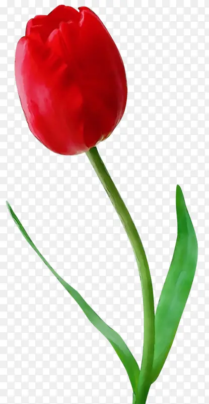 ˮ�� ���� ʪī-������