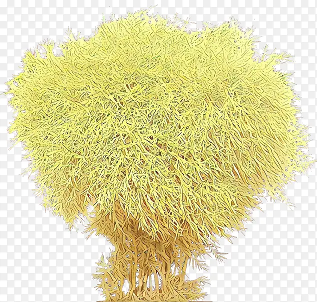 ��ͨ �� ֲ��-������