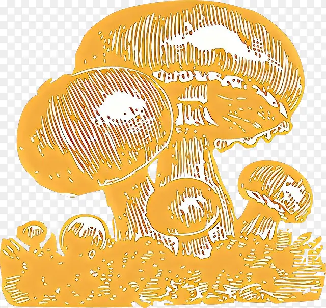 ��ͨ ��ɫ ��ɫ-������