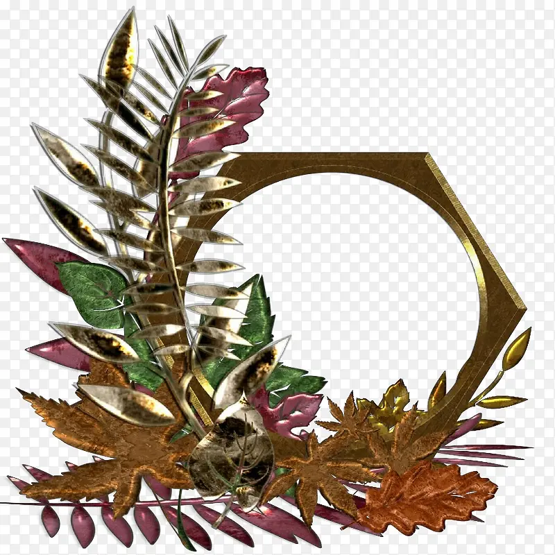 ��ͨ Ҷ�� ֲ��-������