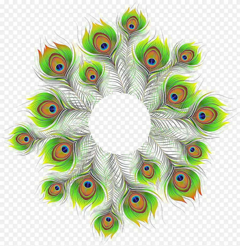 ��ë ʱ������ ��Ȼ����-������