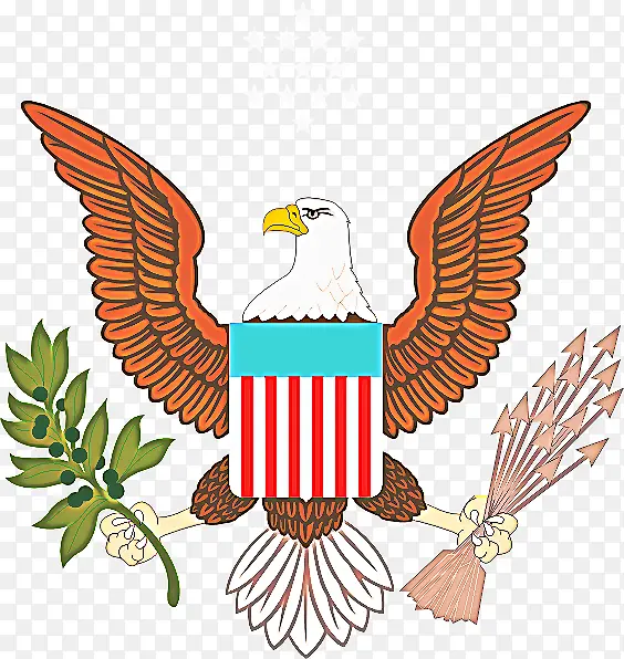 �� ӥ ���-������