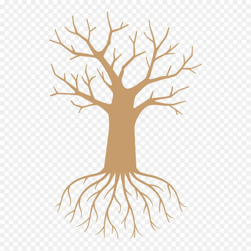 ��ľ ��֦ ��-������