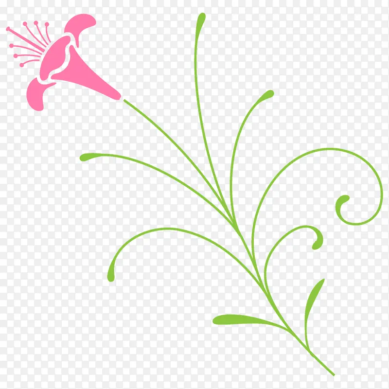 Ҷ ֲ�� ����-������