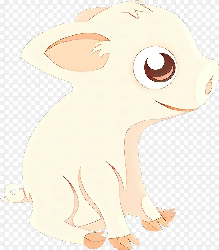 ��ͨ ���� β��-������