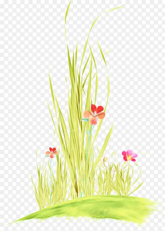 �� ֲ�� ��-������