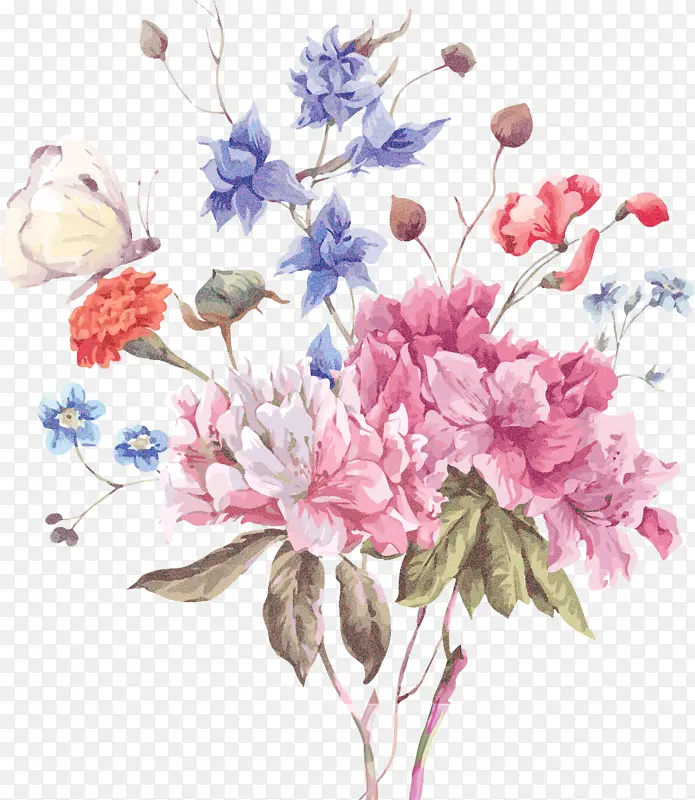 �� ֲ�� ����ֲ��-������