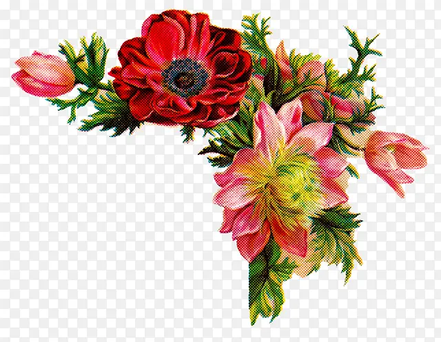 �ɹ���Ʒ�� �л� ����-������