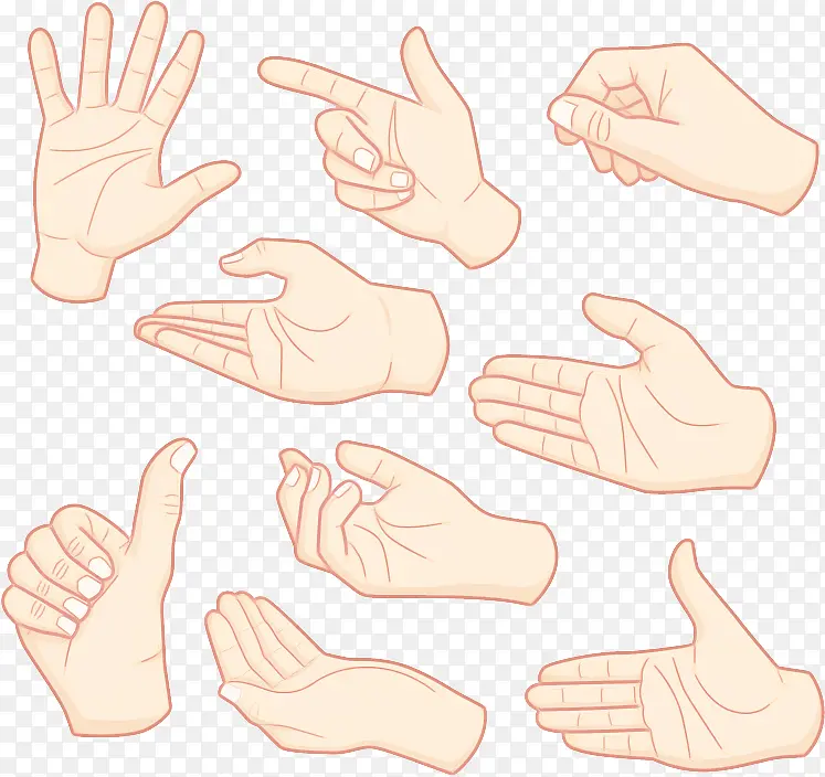 ��ָ �� ����-������