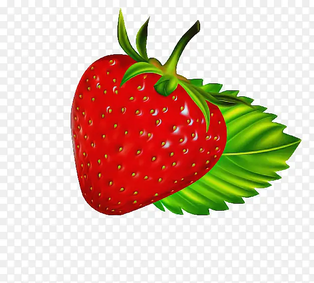 ��ݮ ��ȻʳƷ ˮ��-������