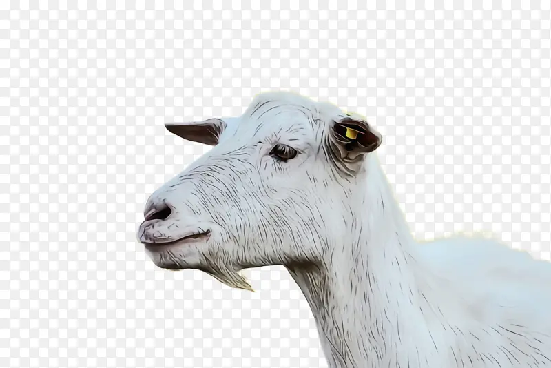 ˮ�ʻ� ���� ʪīˮ-������