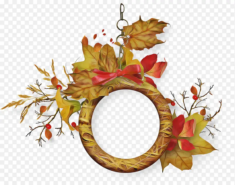 Ҷ�� ��֦ ֲ��-������