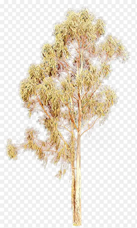 ��ͨ ֲ�� ��-������