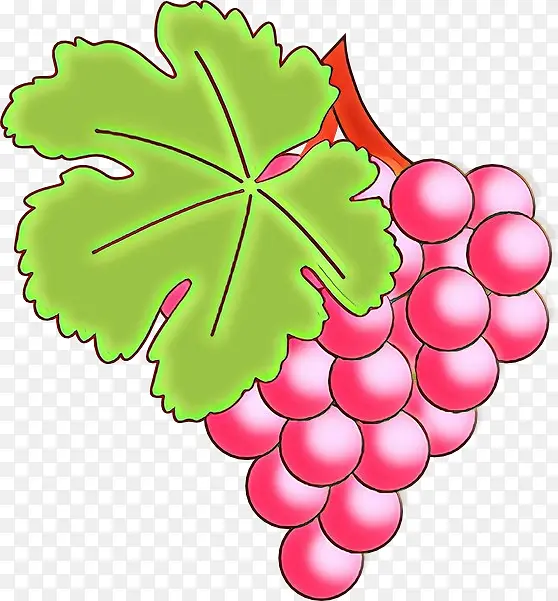 ��ͨ Ҷ�� ����Ҷ��-������