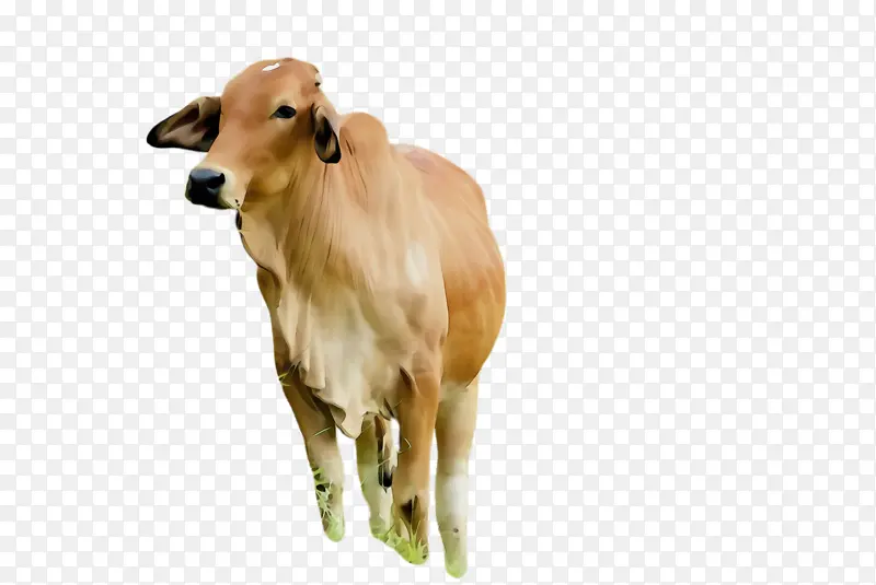 ˮ�ʻ� ���� ʪīˮ-������