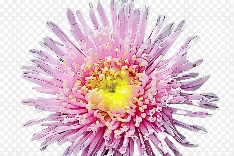 ˮ�ʻ� ���� ʪī-������