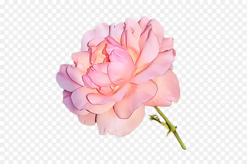 ˮ�� ���� ʪī-������