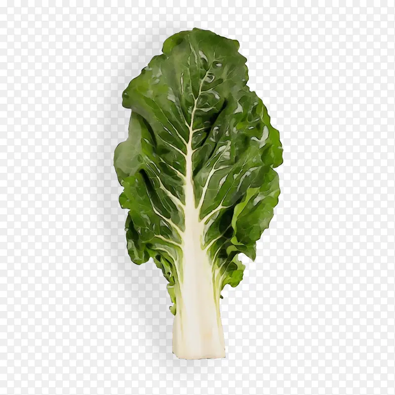 ˮ�� ���� ʪī-������