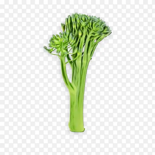 ˮ�ʻ� ���� ʪīˮ-������