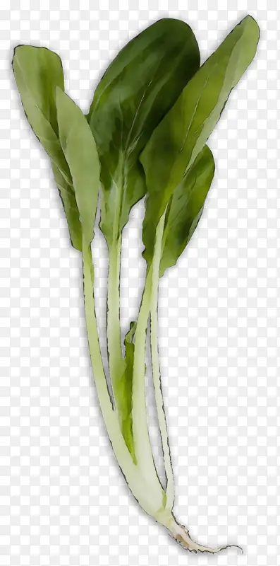 ˮ�ʻ� ���� ʪī-������