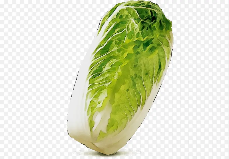 ˮ�ʻ� ���� ʪīˮ-������