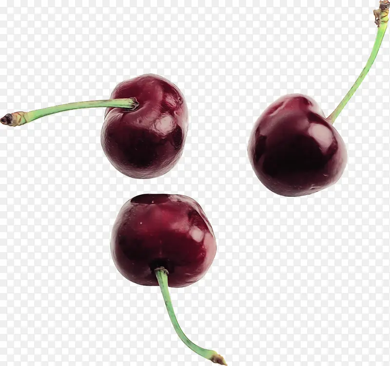 ˮ�ʻ� ���� ʪī-������