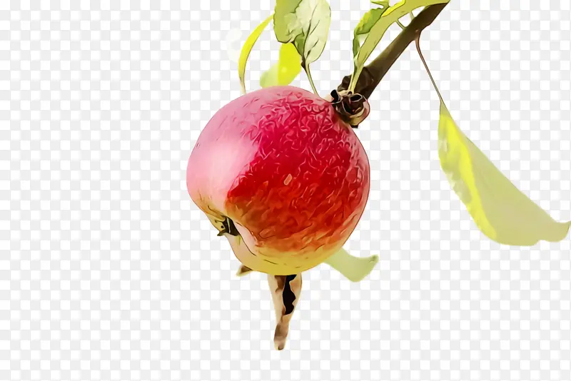 ˮ�ʻ� ���� ʪī-������