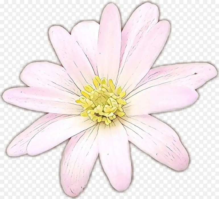 ��ͨ ���� ����ֲ��-������