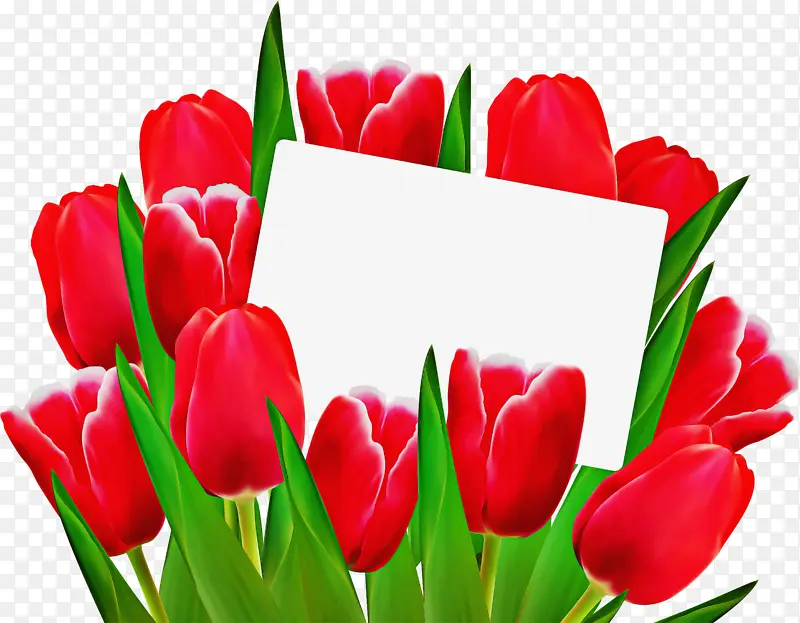 ������ ����ֲ�� ����-������